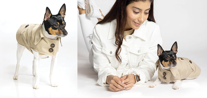 Coats for Every Season.