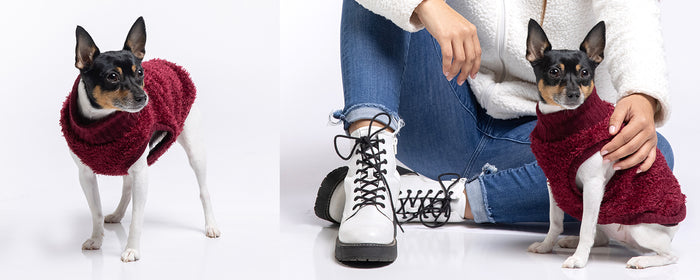 Curl Up in Couture with Exclusive Hoodies & Sweaters.