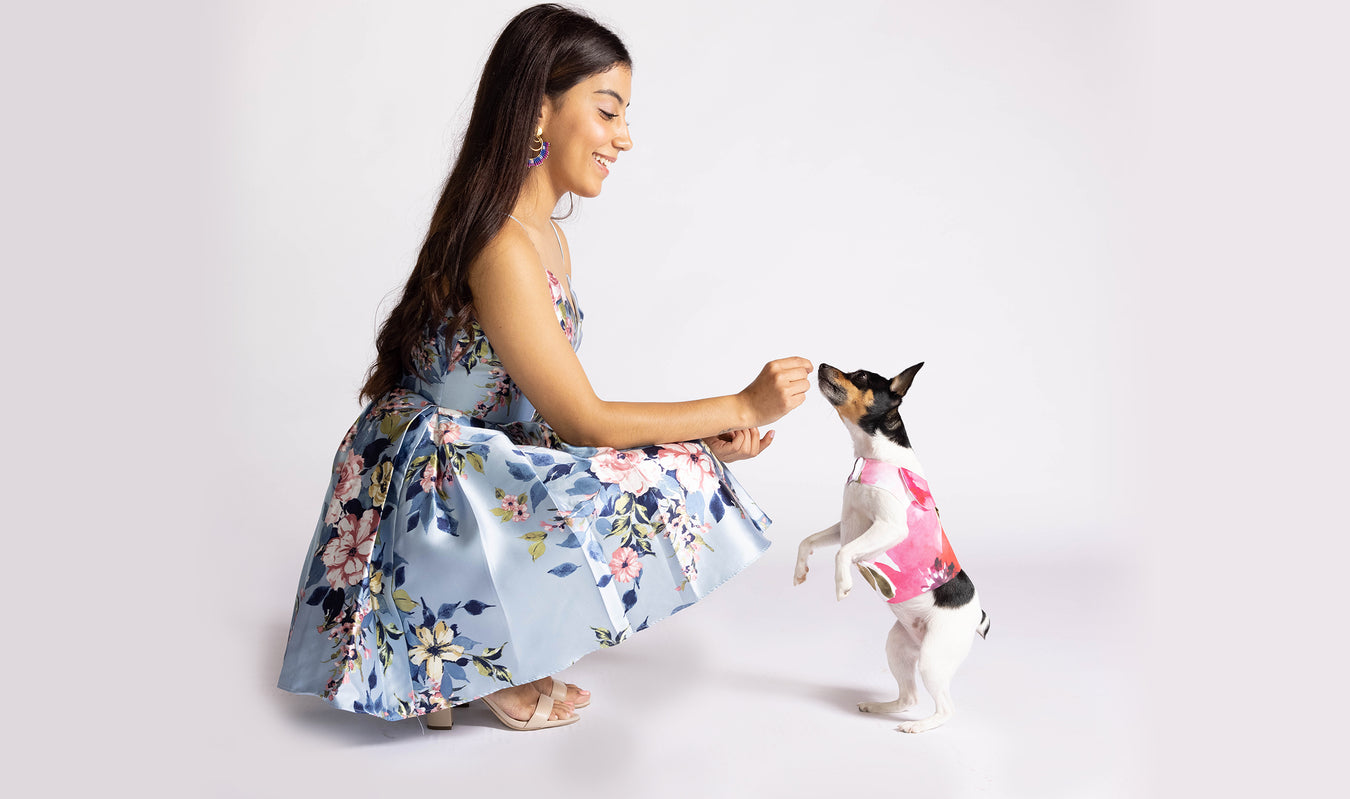 Step Out in Style with Haute Harness Vests.