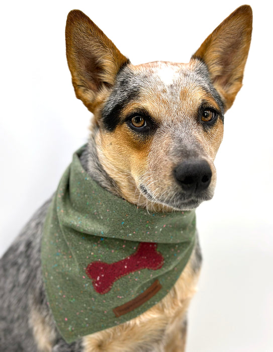 DCNY Fesitve Fir Confetti Bandana