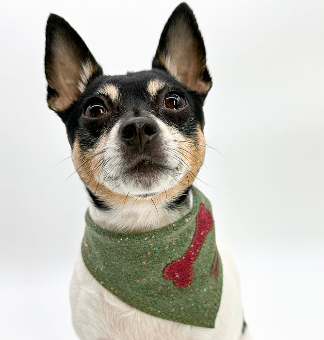 DCNY Fesitve Fir Confetti Bandana