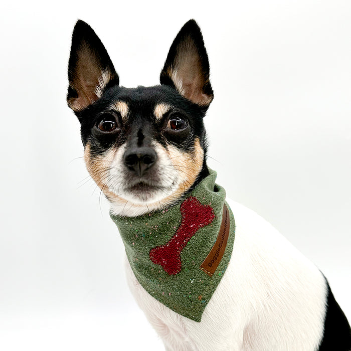 DCNY Fesitve Fir Confetti Bandana
