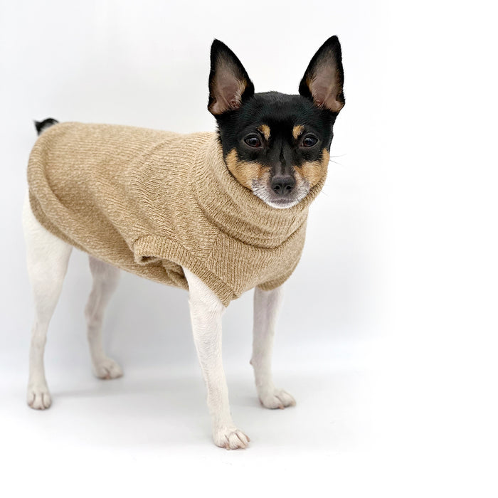 DCNY Cafe Latté Sweater