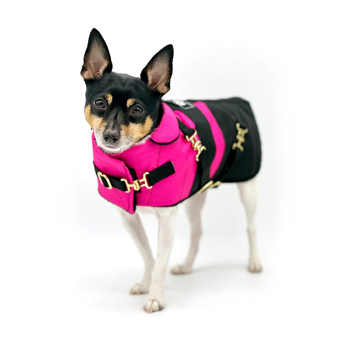 DCNY Equestrian Collection