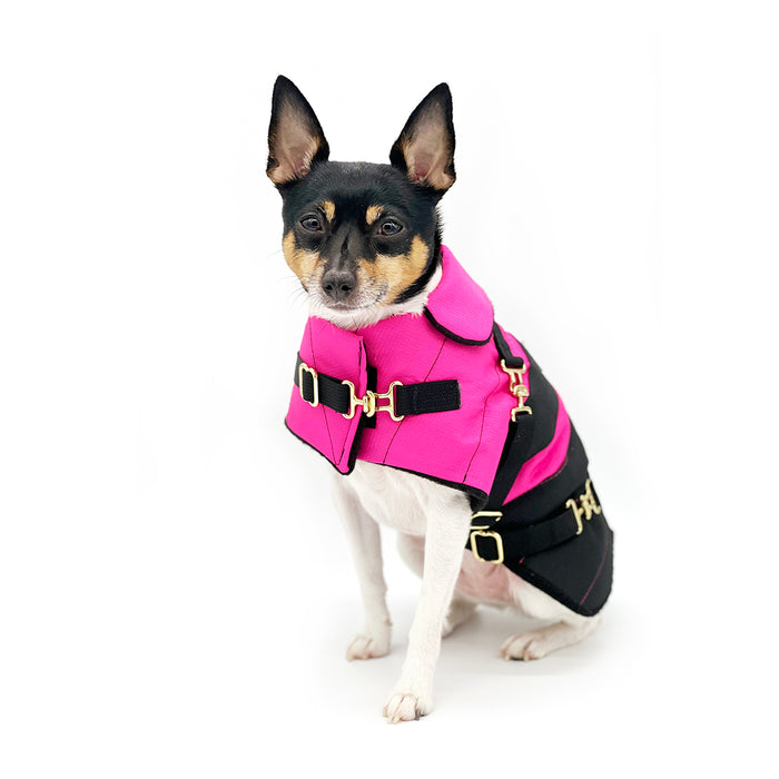 DCNY Equestrian Collection