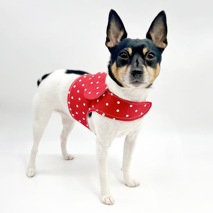 DCNY “Red & White Polka Dots” Vest-Style Harness