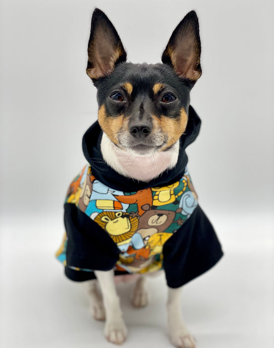 DCNY Day At The Zoo Hoodie - Limited Edition