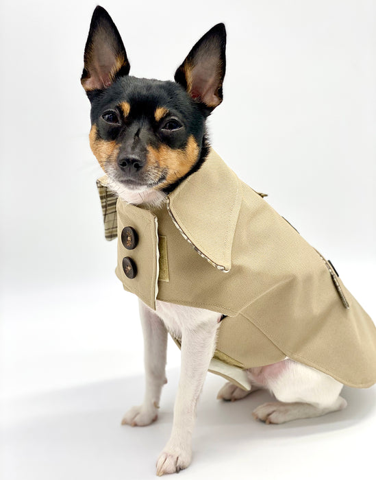 DoggieCoutureNY Classic Trench Coat - Beige