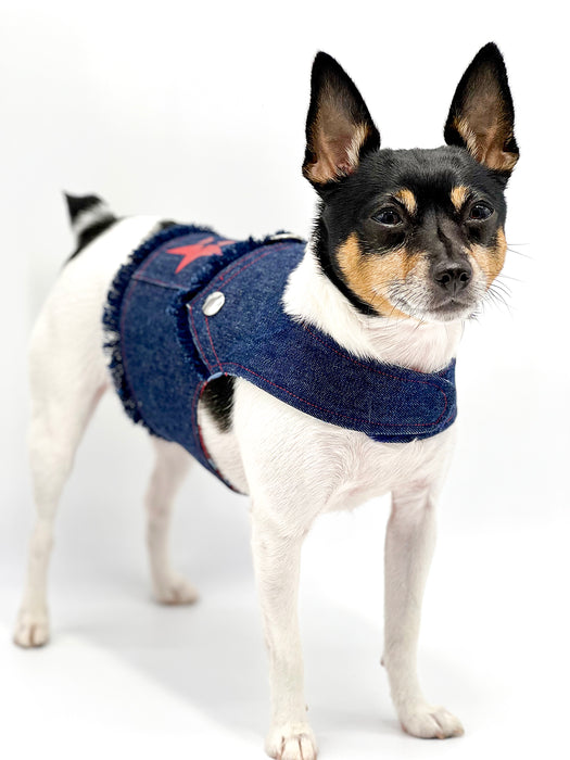 DCNY “Stars & Denim” Vest-Style Harness