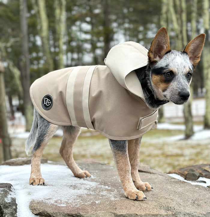 Coats for Every Season