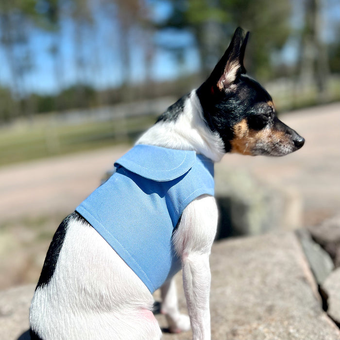 DCNY Periwinkle Harness Vest