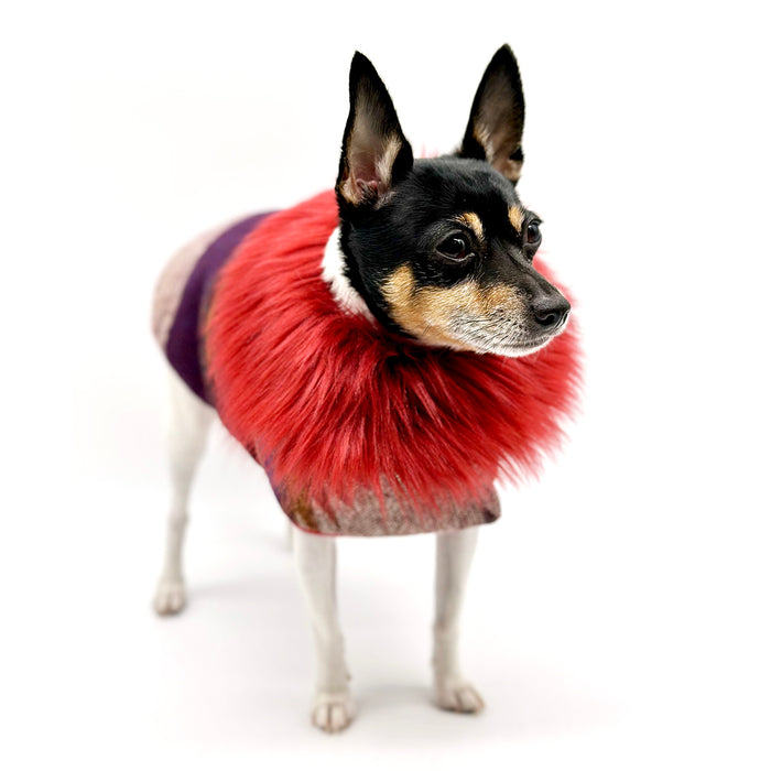 “Salinas” Jacket with Removable Faux Fur Collar