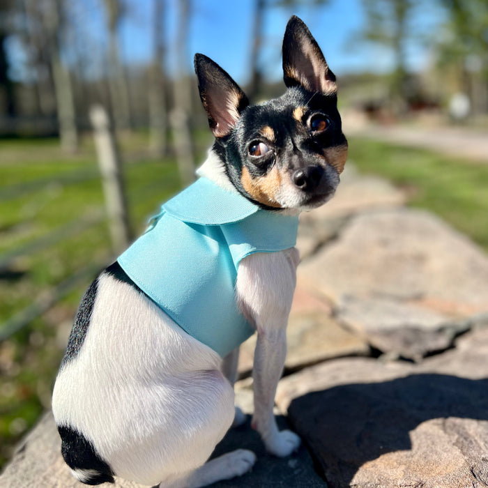 DCNY Aqua Harness Vest
